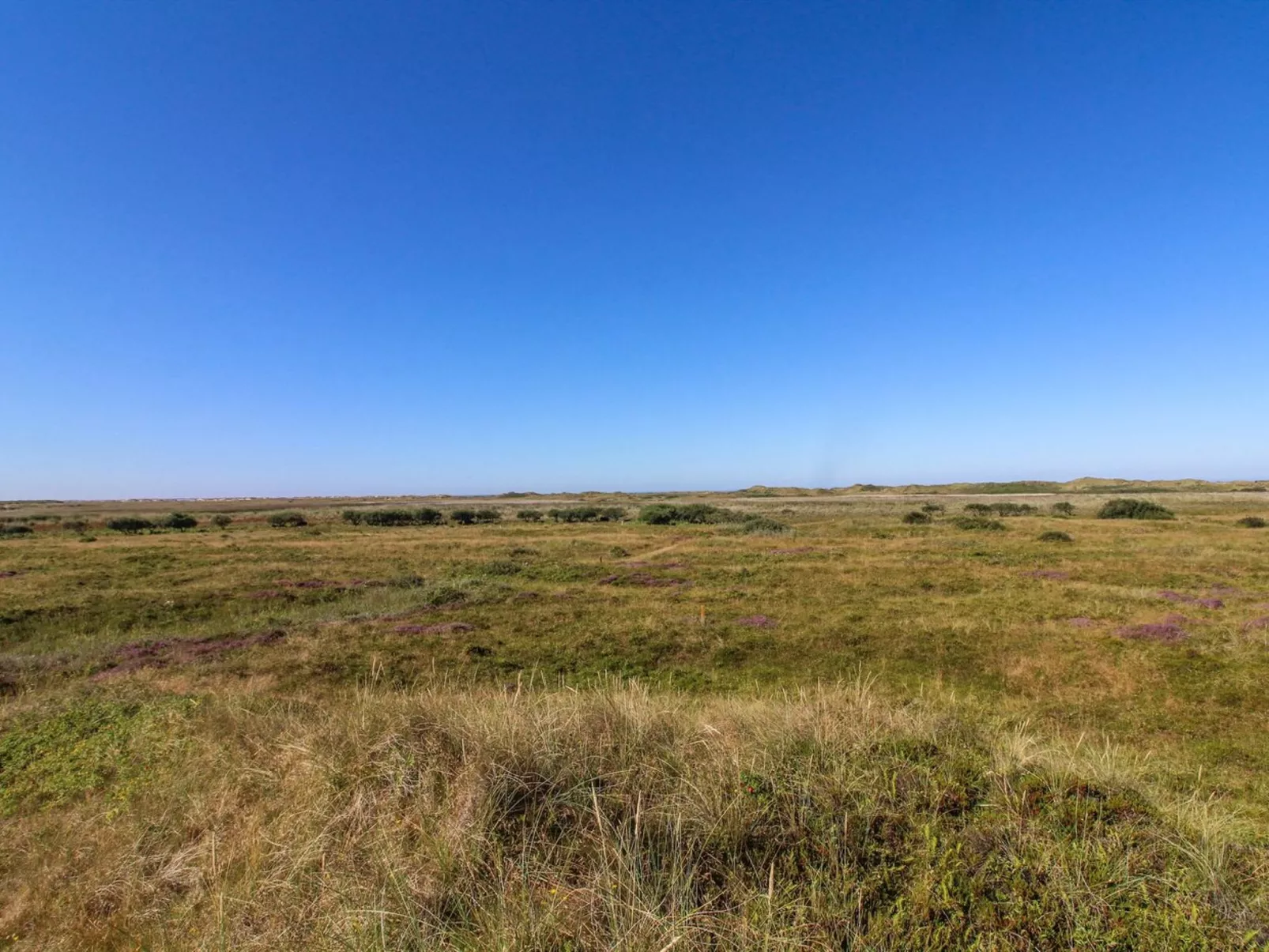 "Alim" - 300m from the sea-Draußen