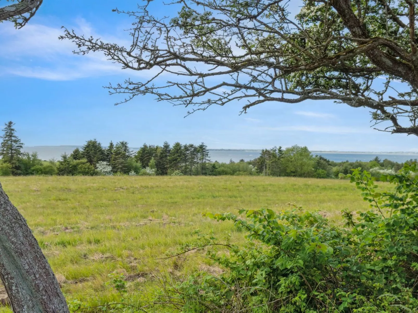 "Althea" - 750m to the fjord-Outside