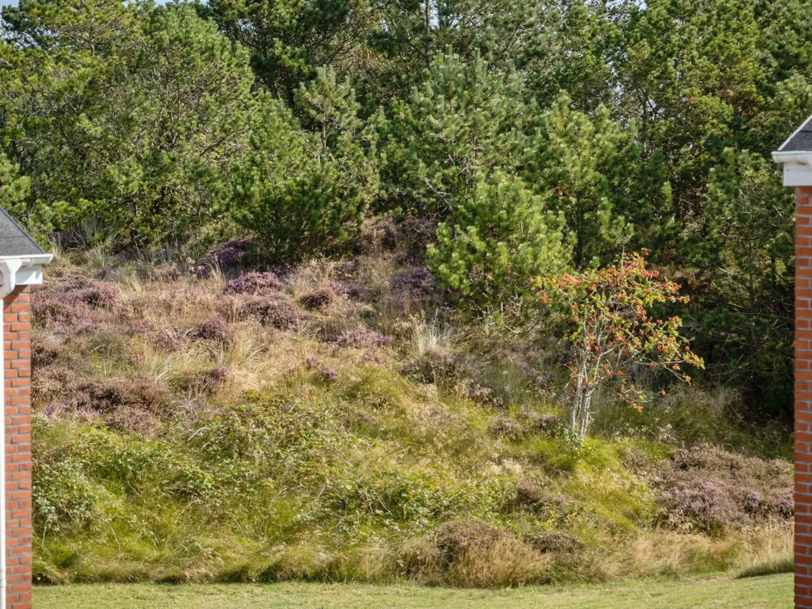 "Maylin" - 2.3km from the sea-Dehors