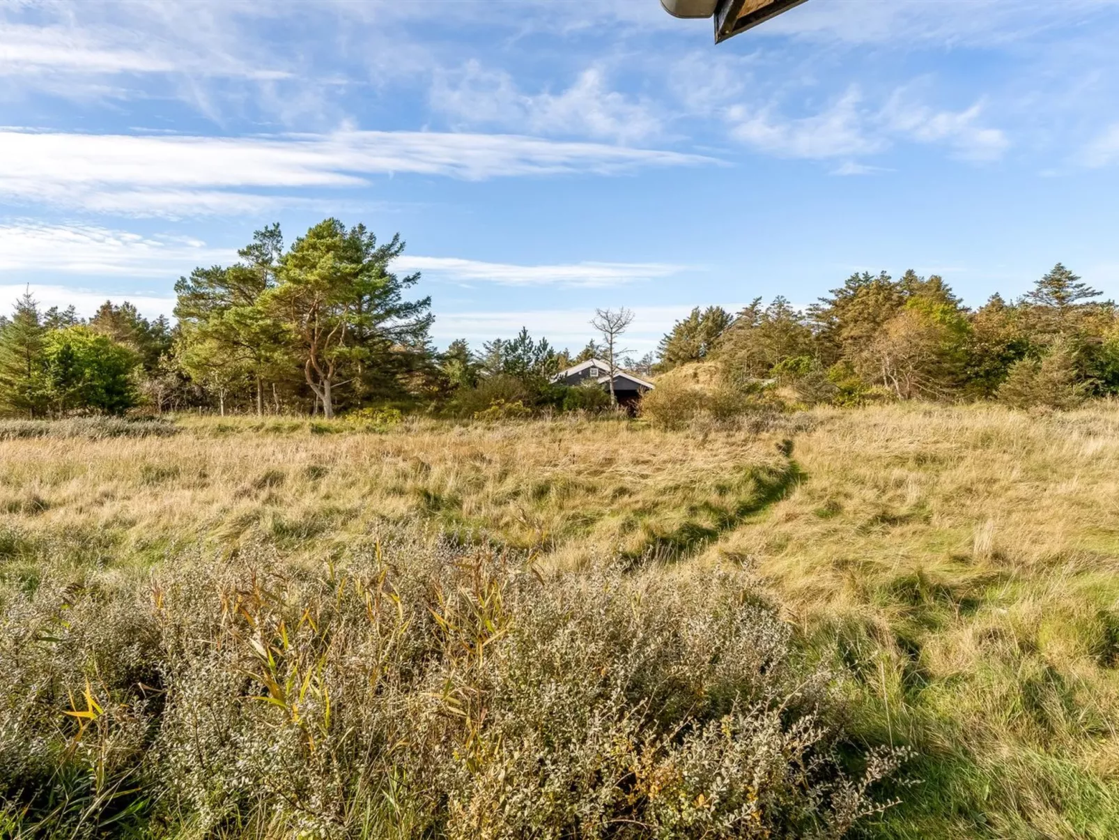 "Yaim" - 800m from the sea-Draußen