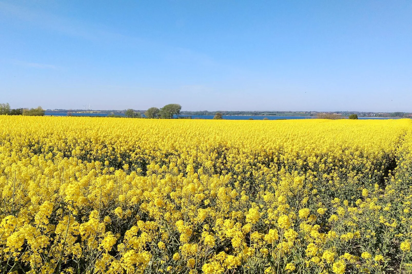 Strand Ruckzug in Kegnaes -- By Traum Ferienwohnungen-Nicht zugeordnet