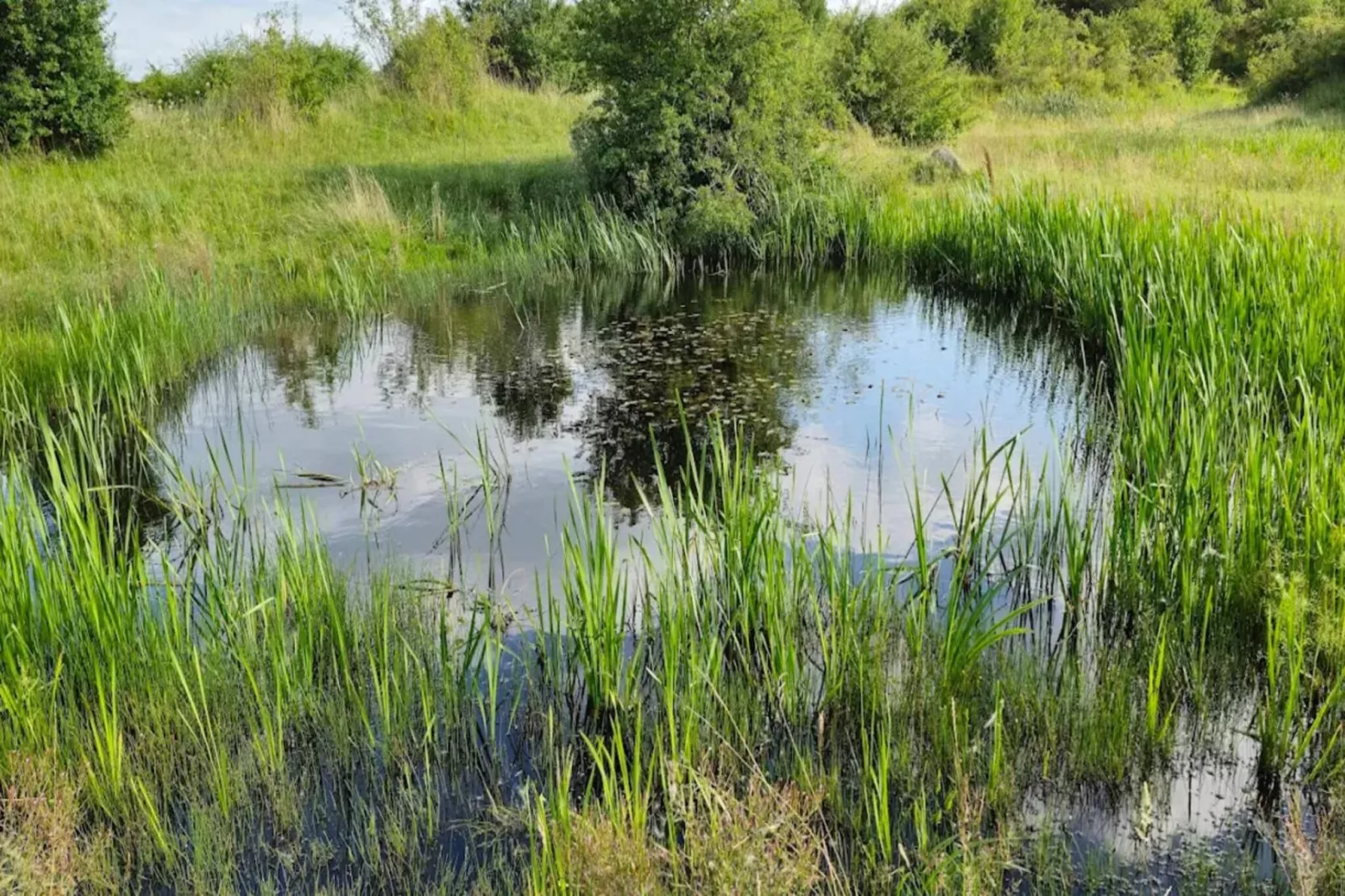 5 person holiday home in Hesselager-By Traum-Water view