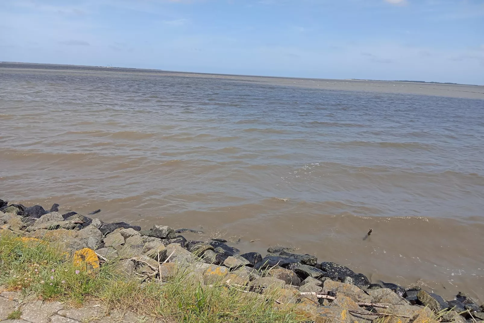 Ferienhaus Seeschwalbe-Areas within 5km in summer