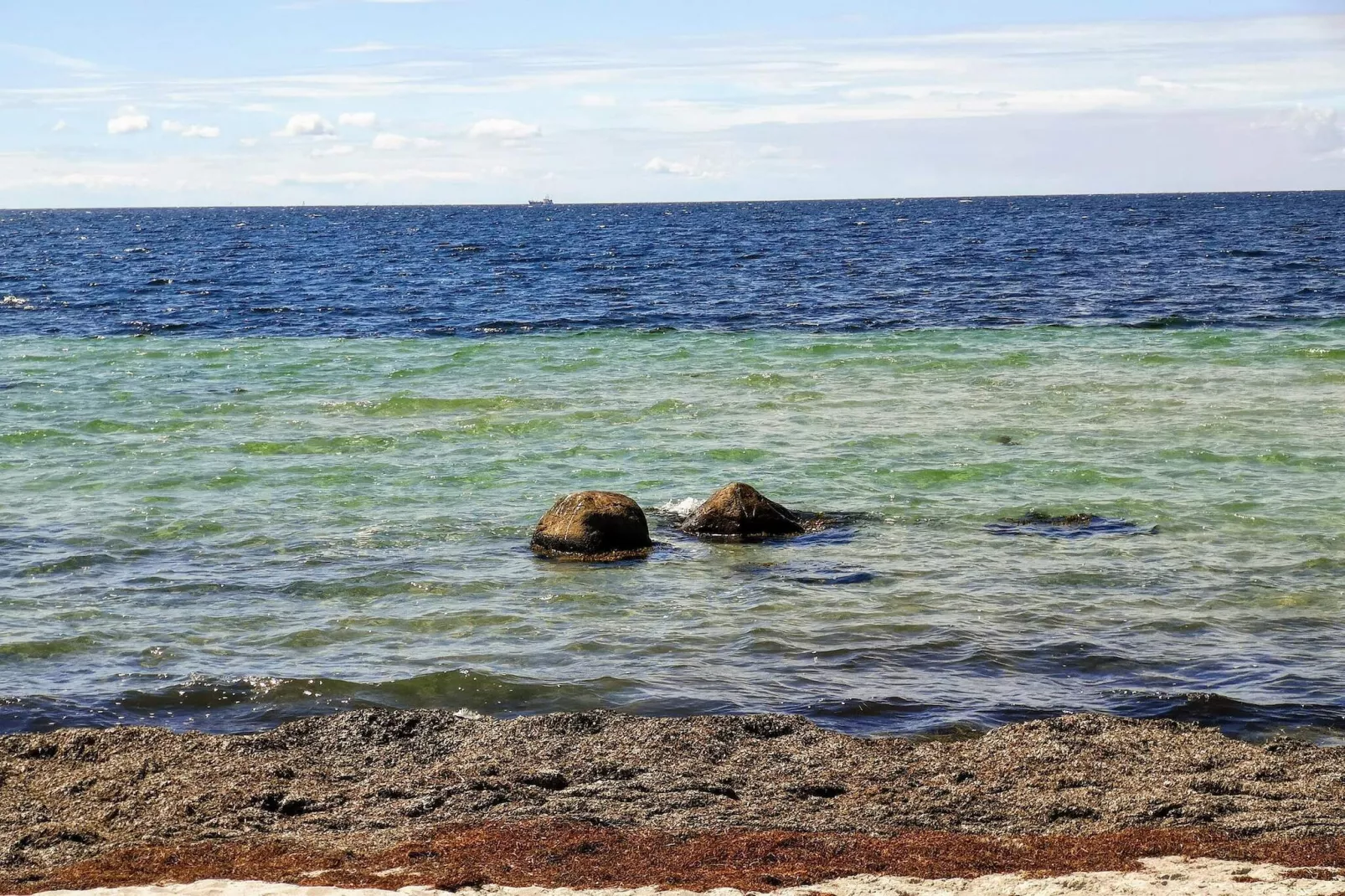 Maison de vacances pour 5 a Karrebæksminde-Vue sur l'eau