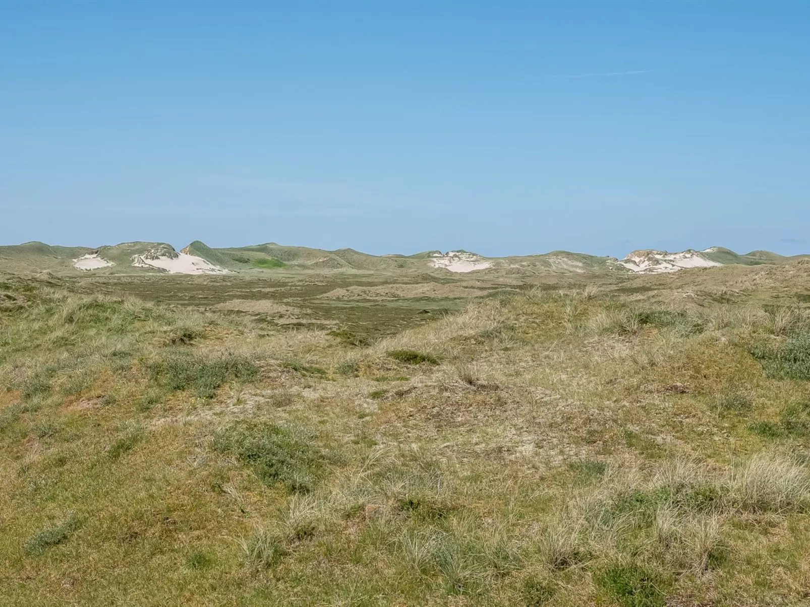 "Aurore" - 700m from the sea-Draußen