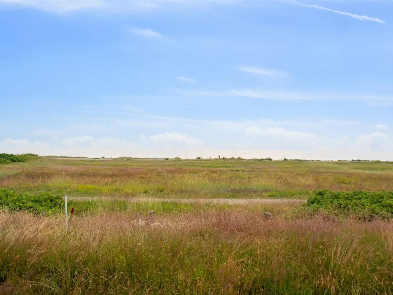 "Susana" - 50m from the sea-Draußen