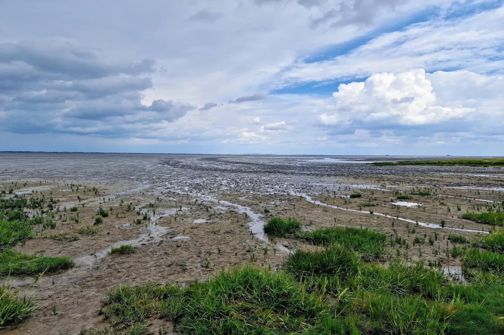 Doppelhaushälfte Nordseerose 125-Areas within 5km in summer