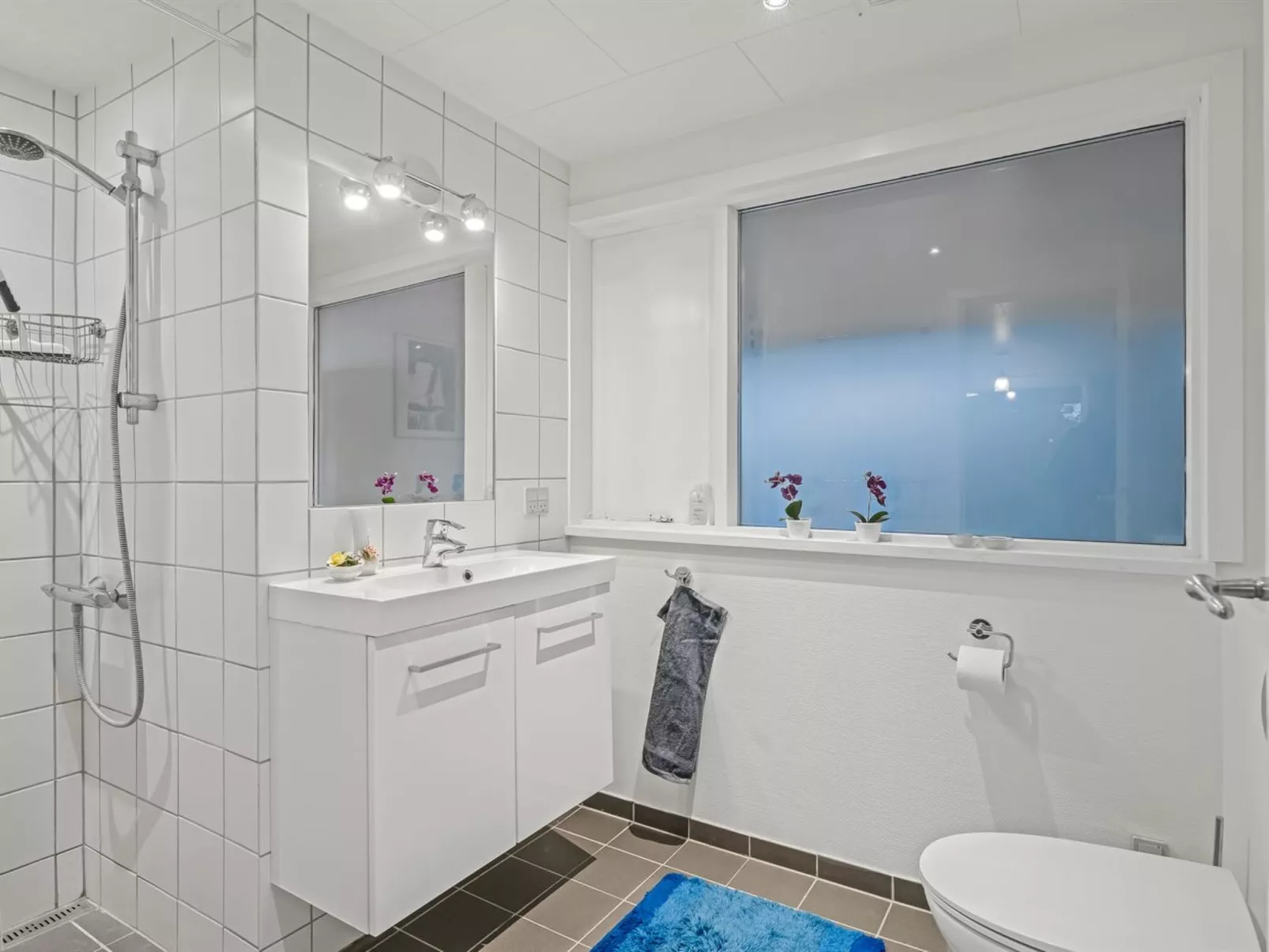 "Sven" - 250m to the fjord-Inside