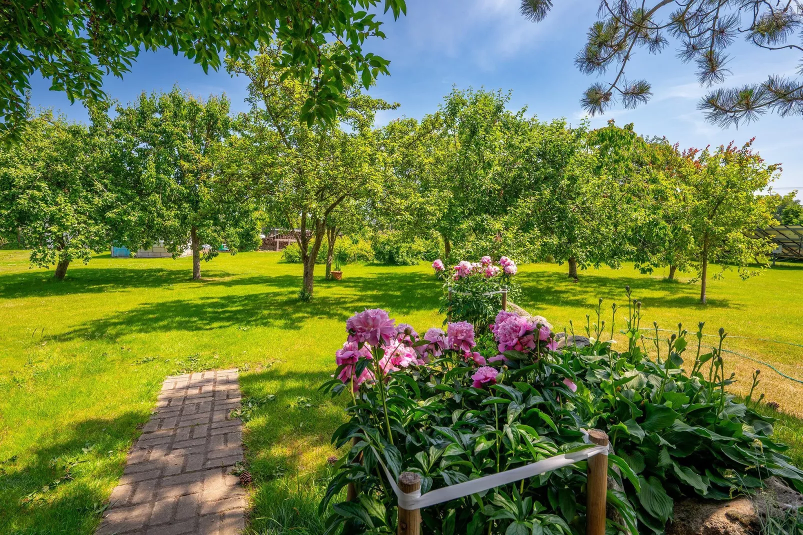 Domki wakacyjne na min 2-4 doby Domasławice-Gardens in summer