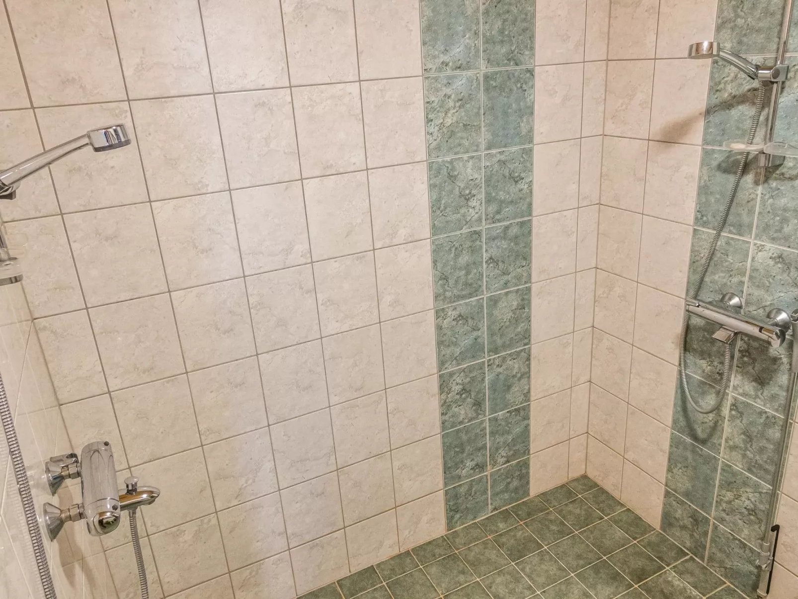 Kevätruska b-Dedans