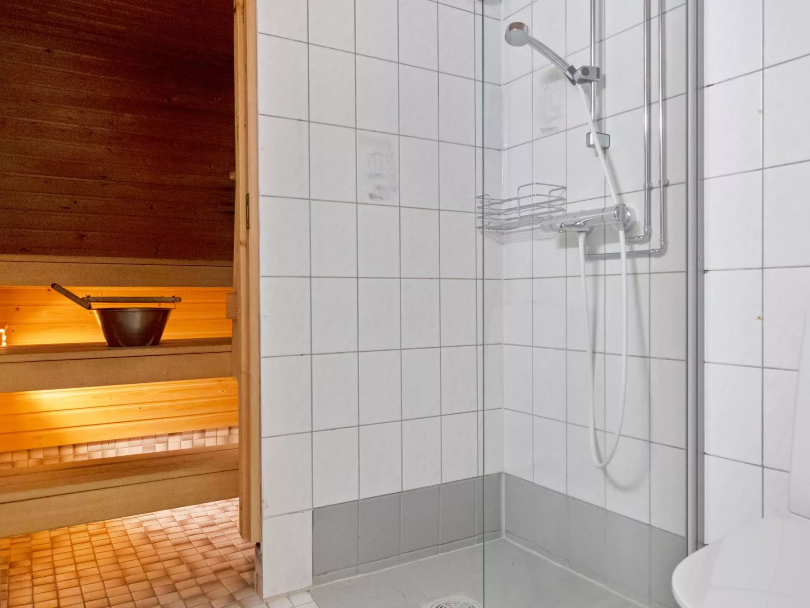 Riekonraito a1-Inside