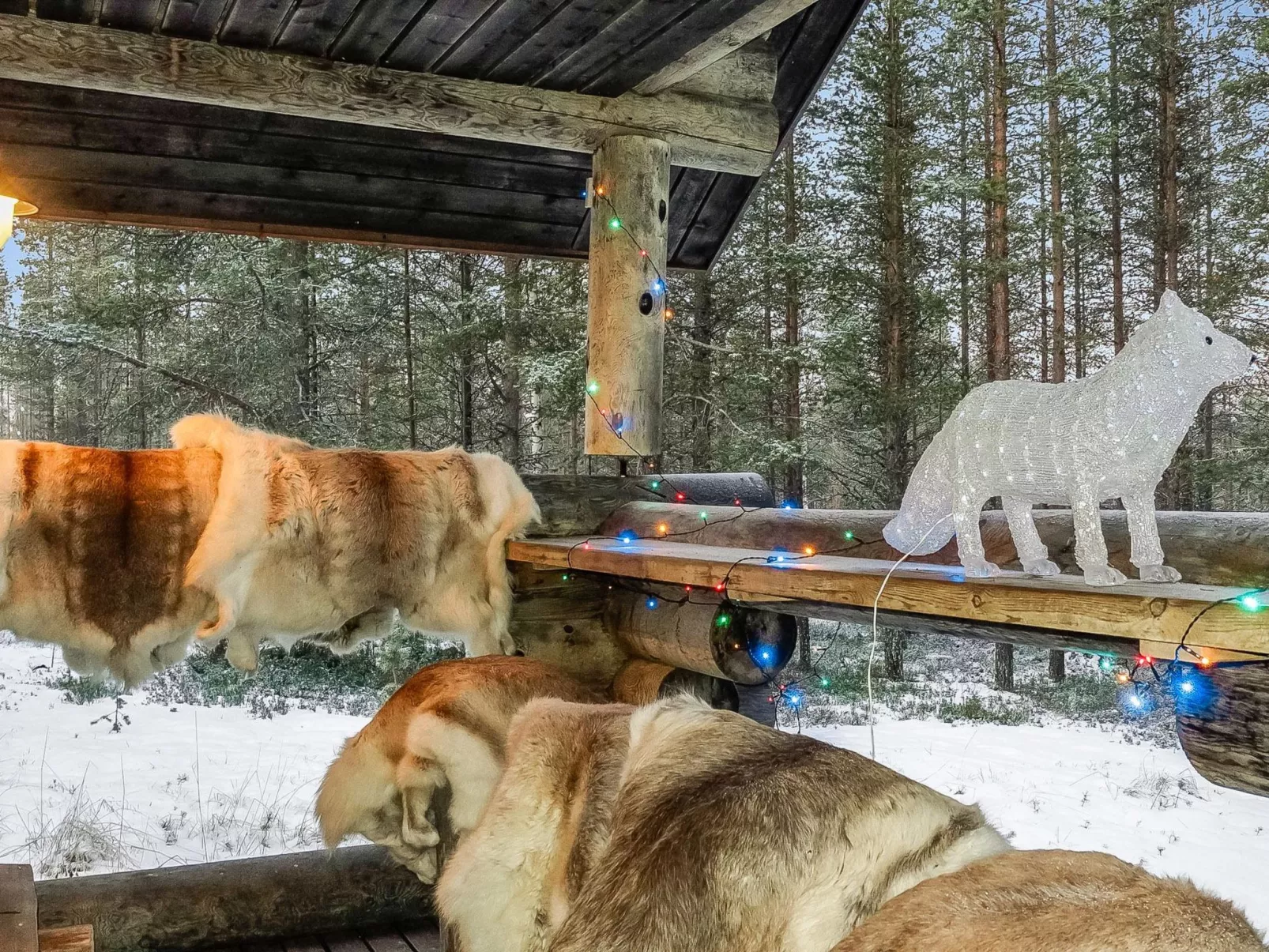 Unarin kettu-Drinnen