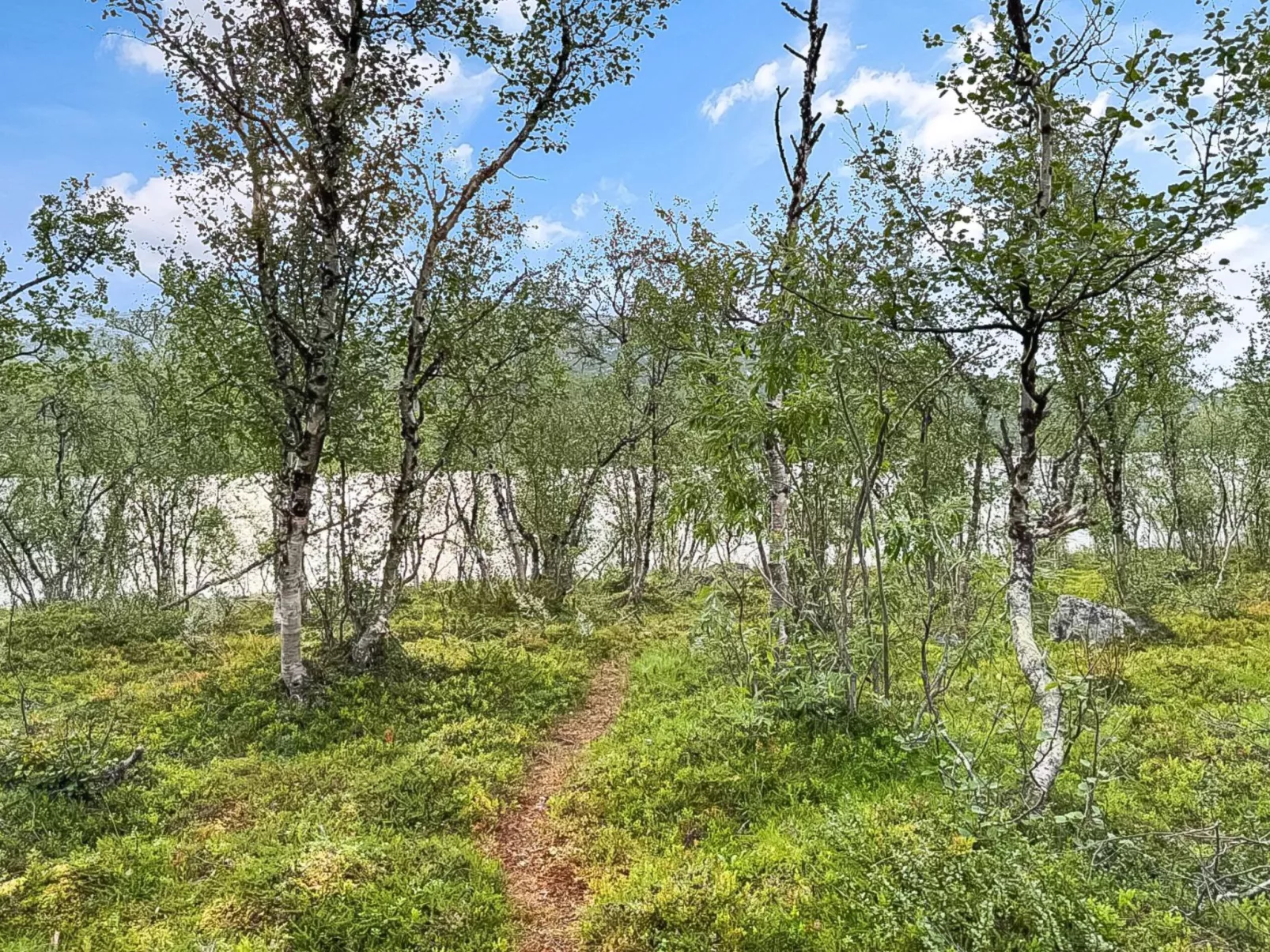 Willa kiiruna-Drinnen