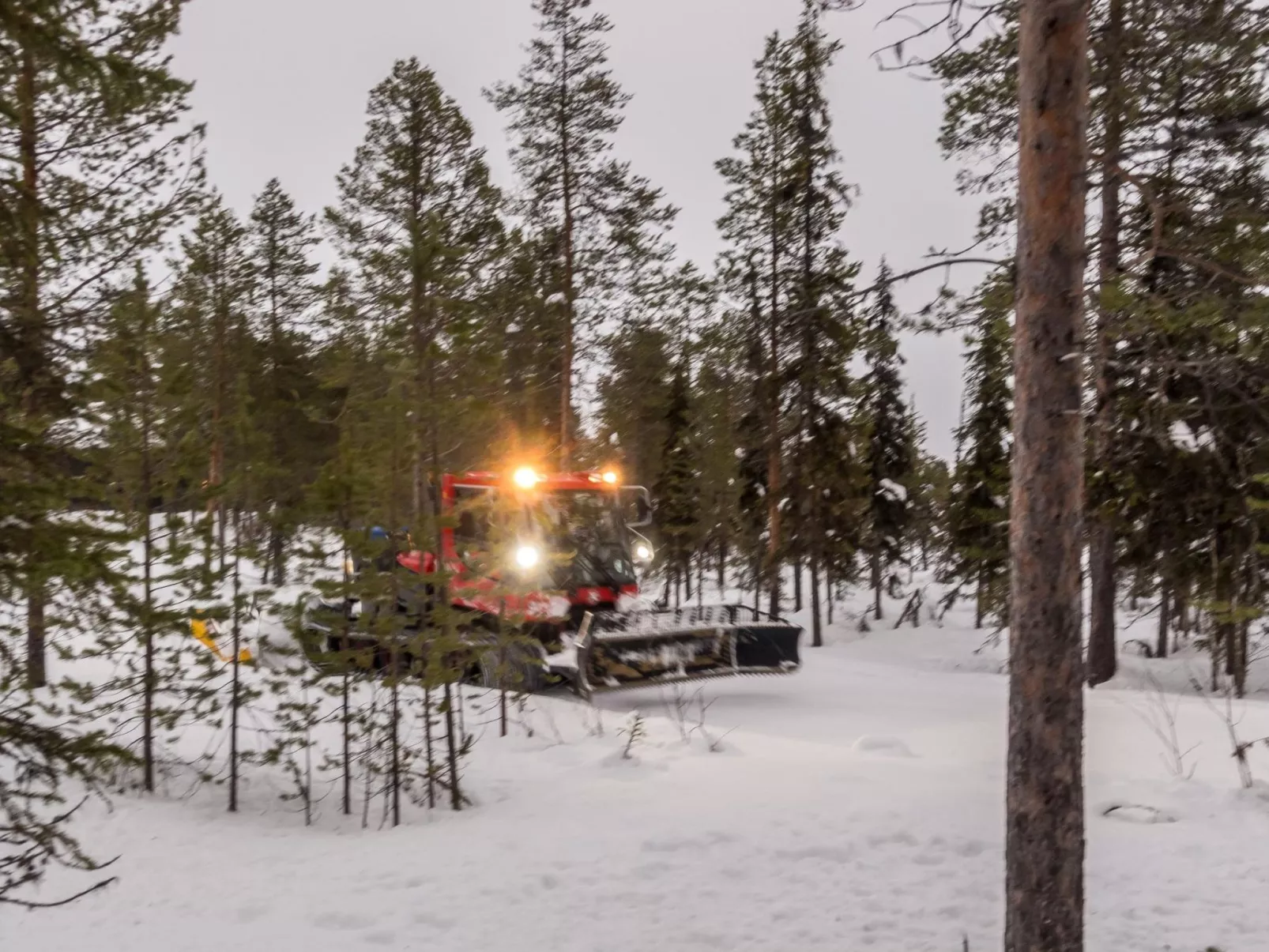 Levin kuiskaus-Dedans