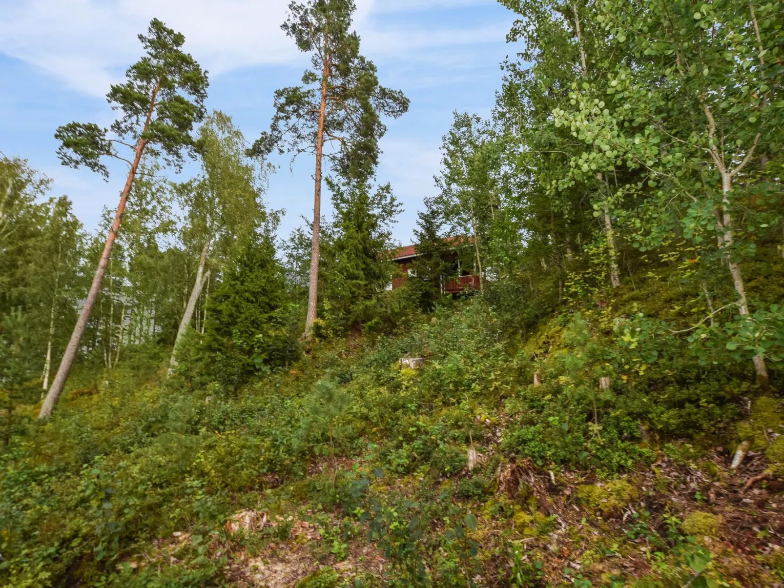 Isokoskelo 5-Drinnen