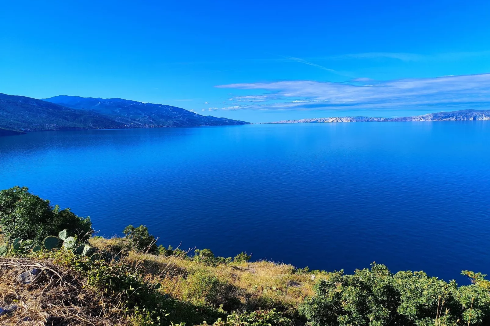 Niko 3-Areas within 5km in summer