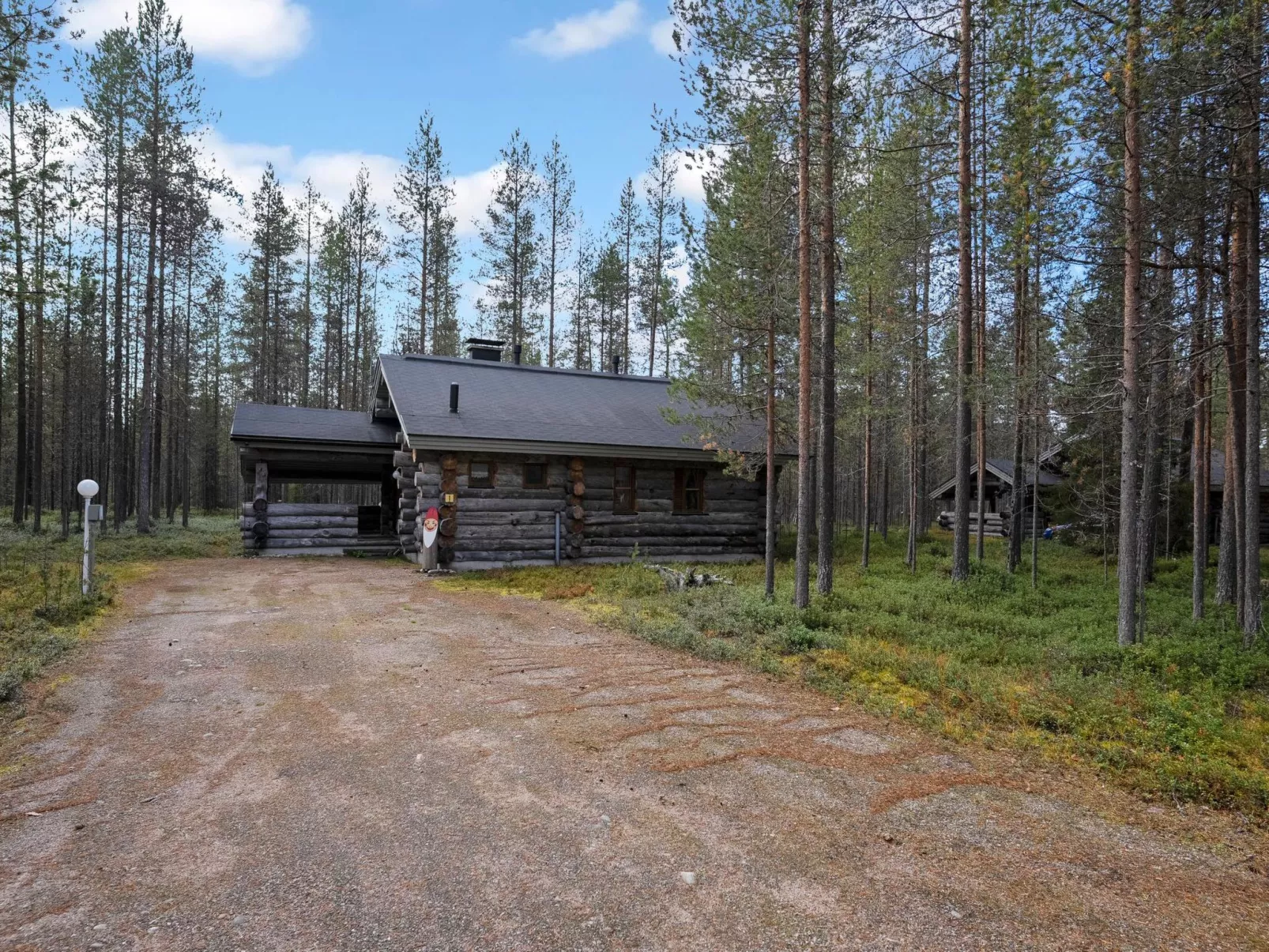 Rukanlumous 1-Drinnen