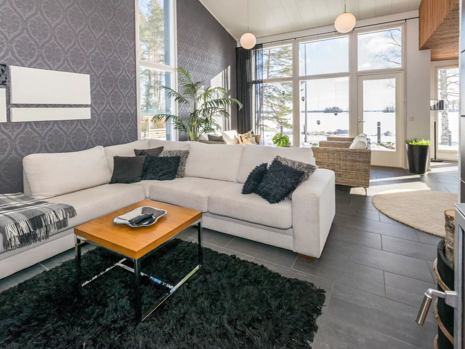 Villa kaivopuisto-Dedans