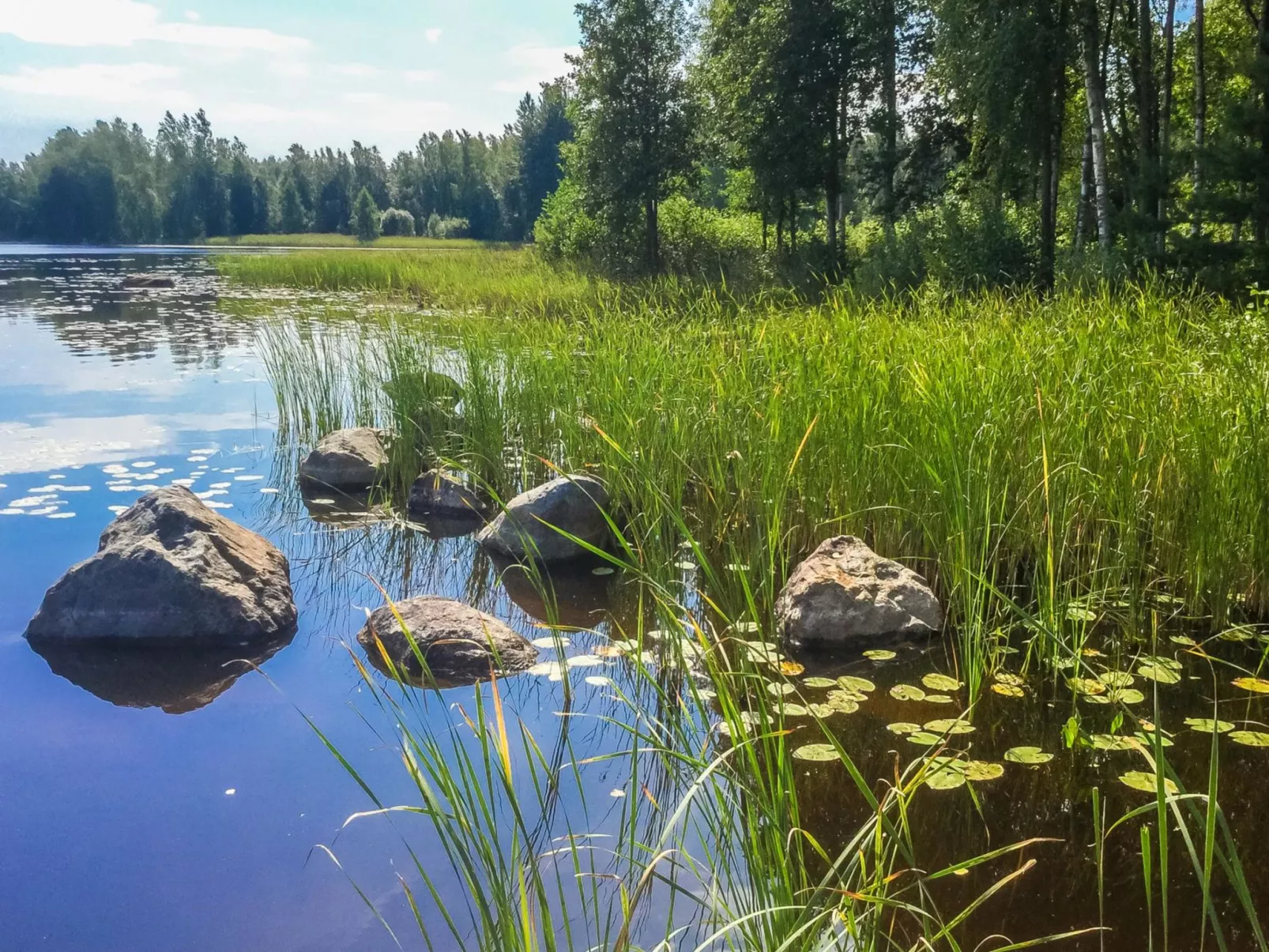 Annelinniemi-Drinnen
