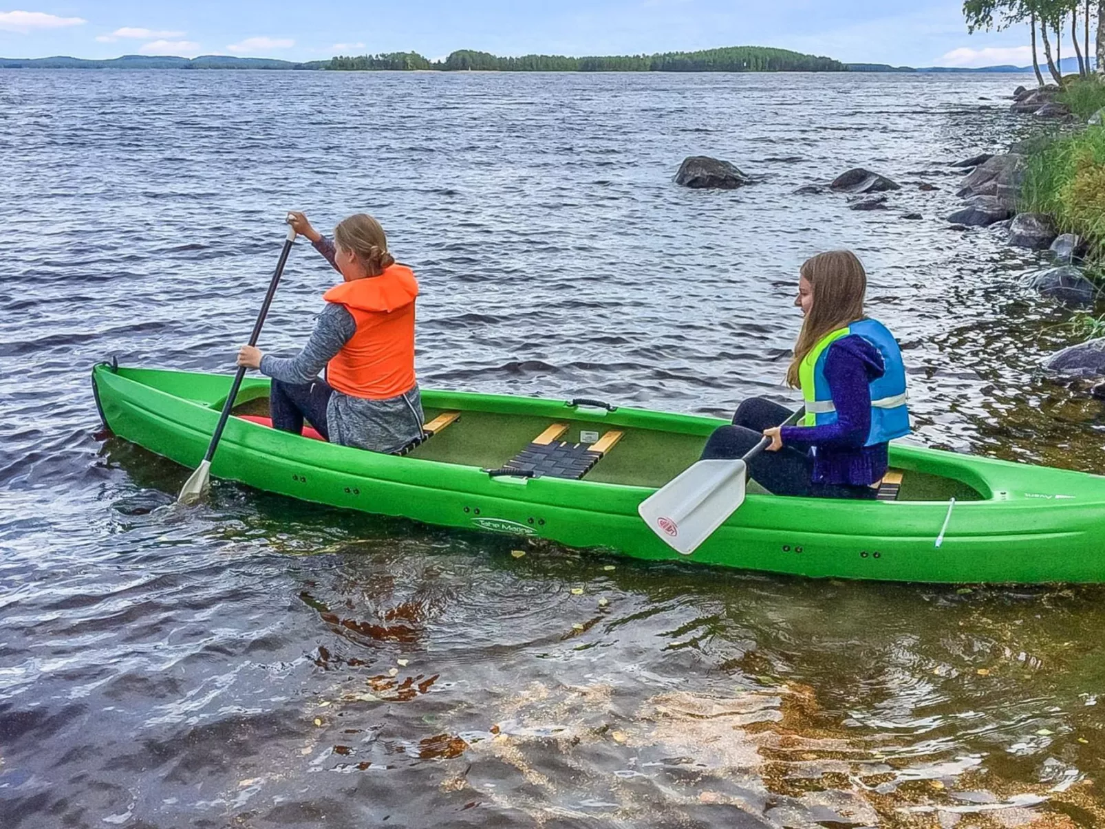 Kolin mesikämmen-Dedans