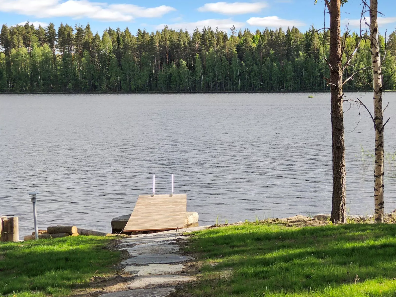 Nesterin helmi-Dedans