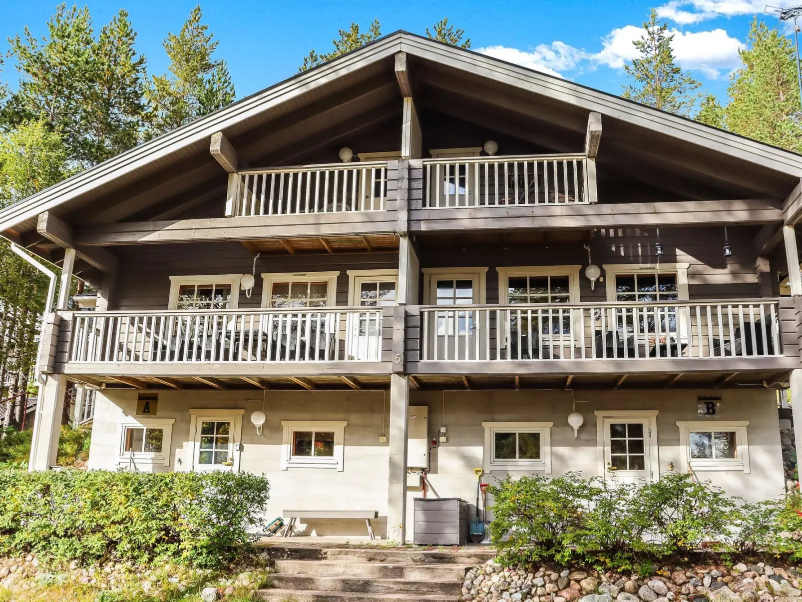 Hallanhelmi a paritalo-Dedans