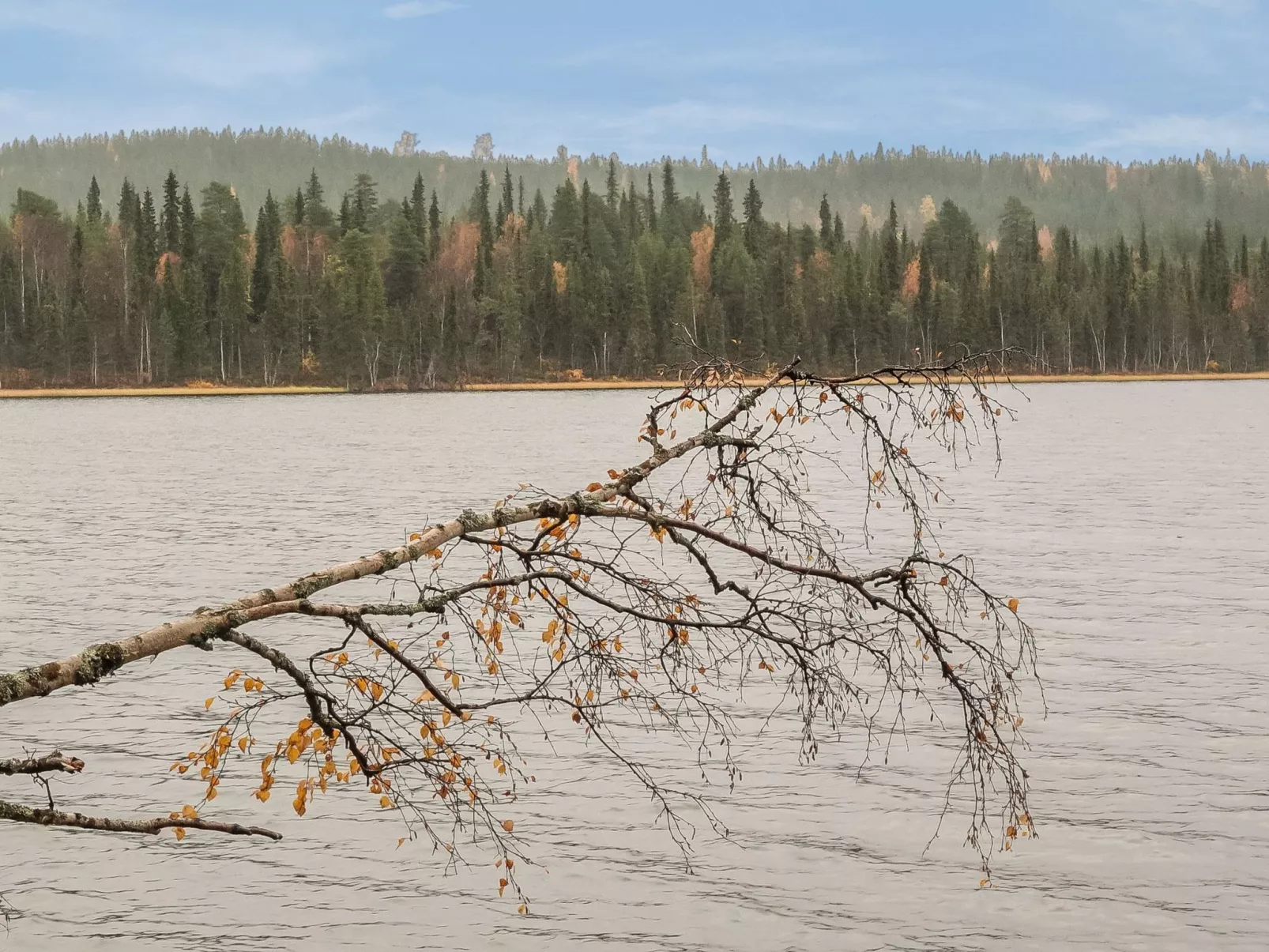 Lomaväinö 13-Dedans