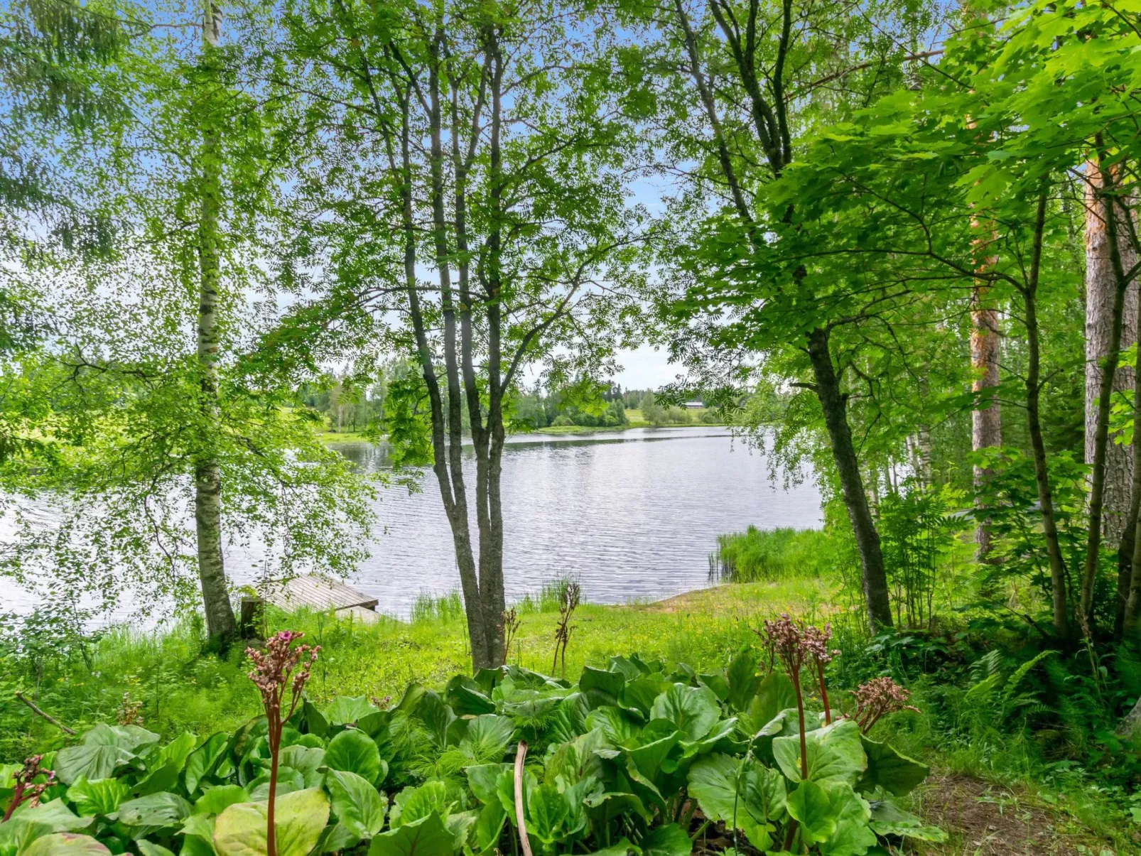 Hietaniemen usko-Dedans