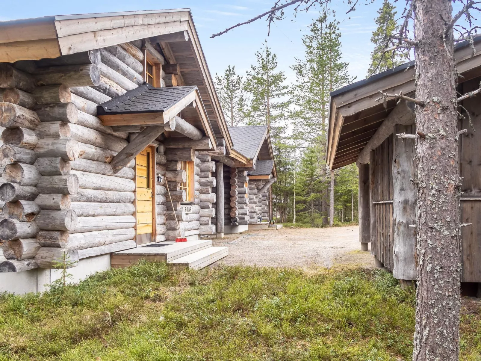 Villa olivia-Drinnen