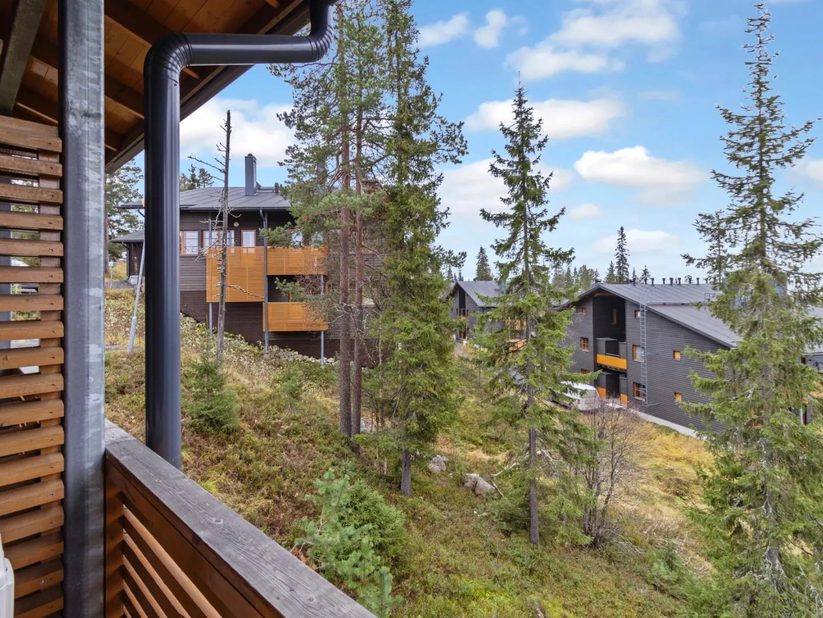 Karhunvartijanmaja d4-Inside