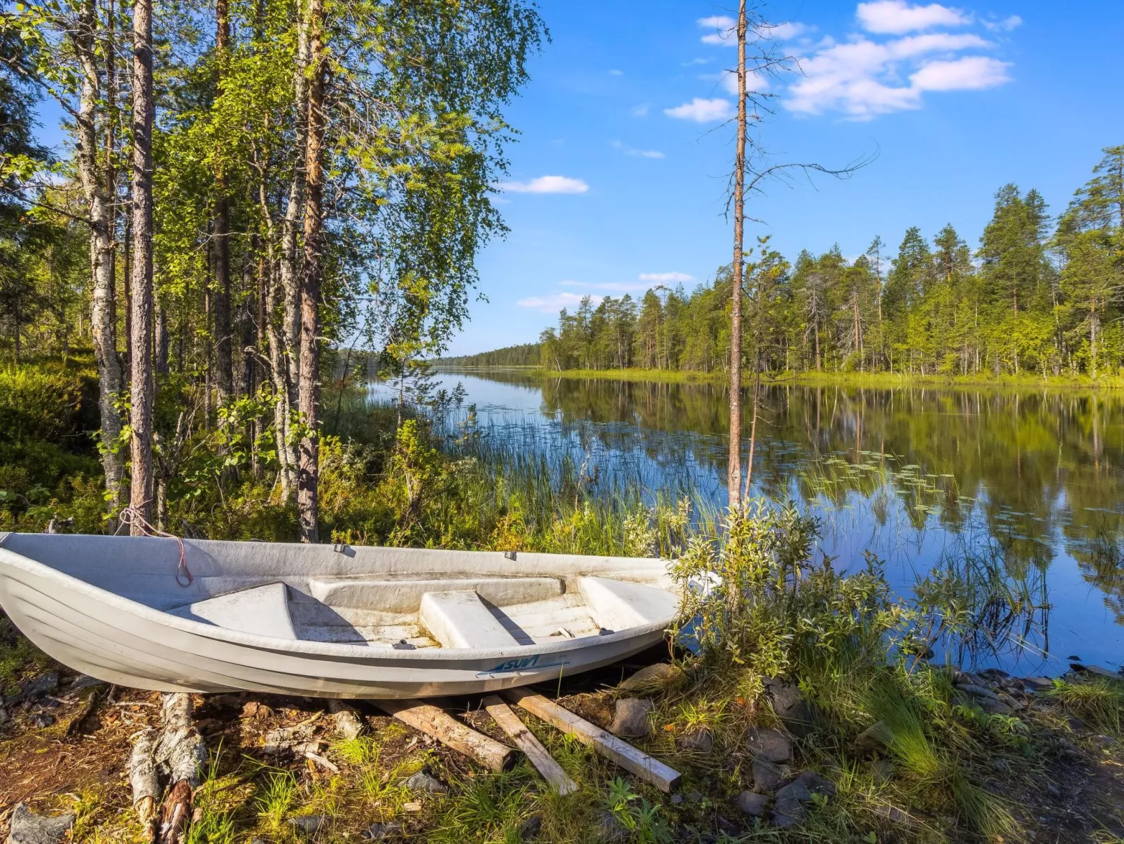 Kiehtäjän kuohu-Drinnen