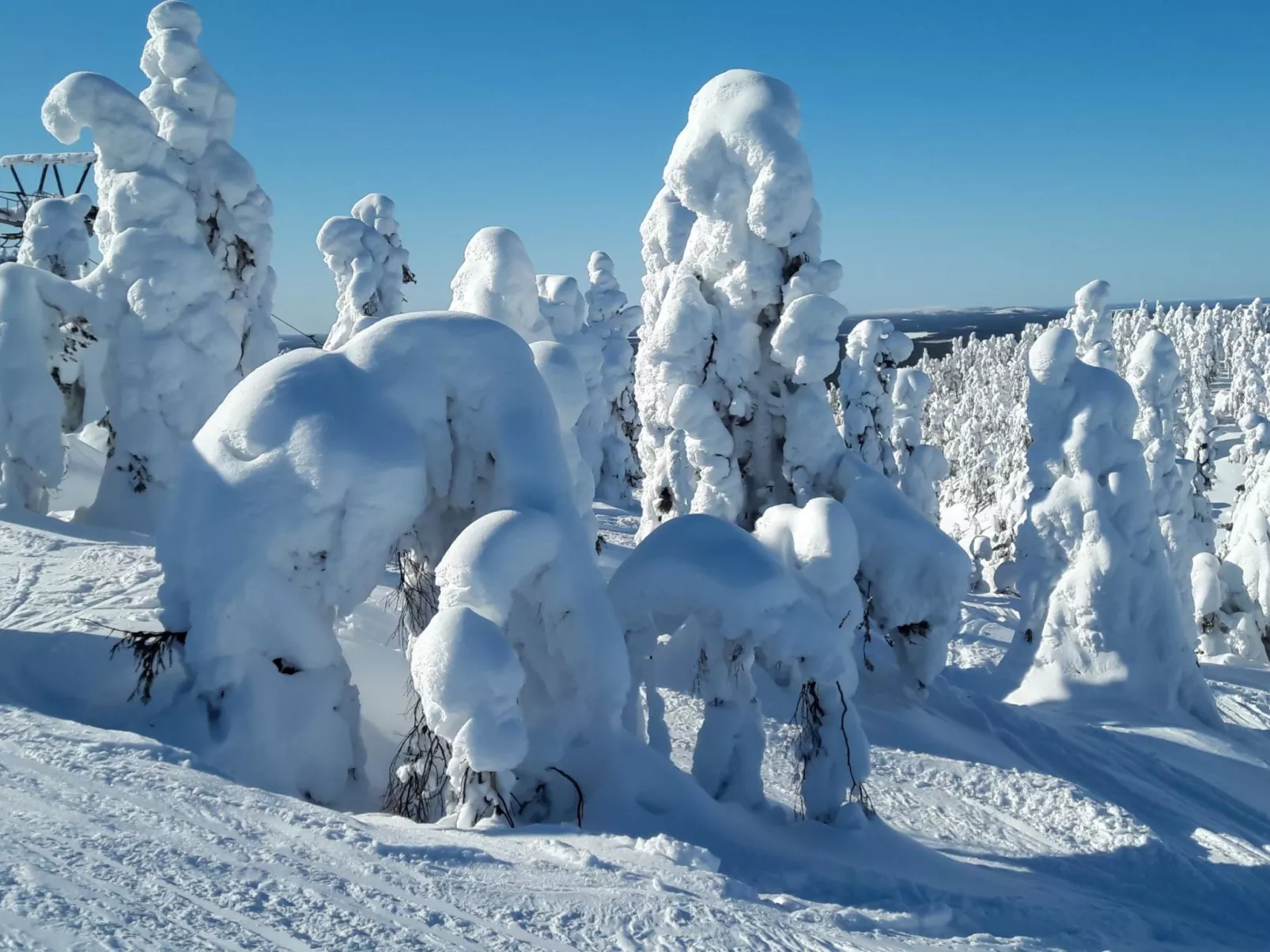 Lomakivakka b6-Dedans