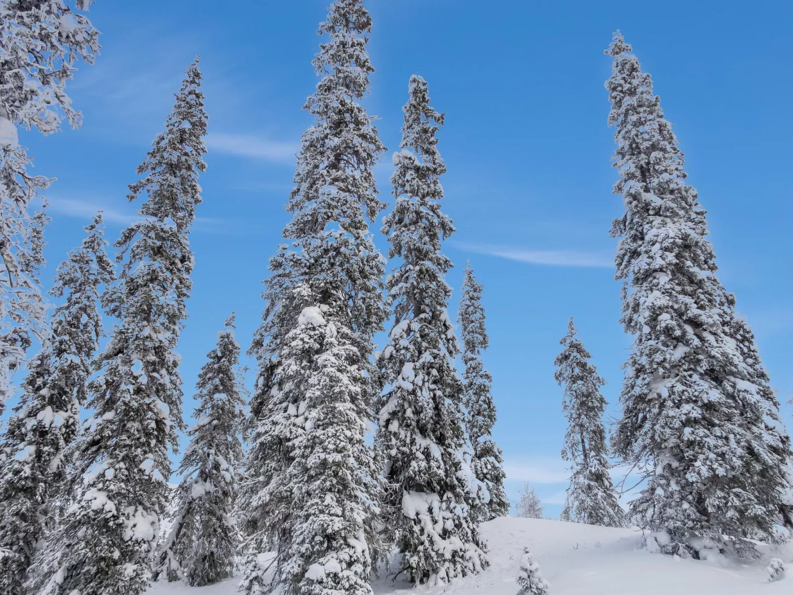 Villa jaloranta b-Dedans