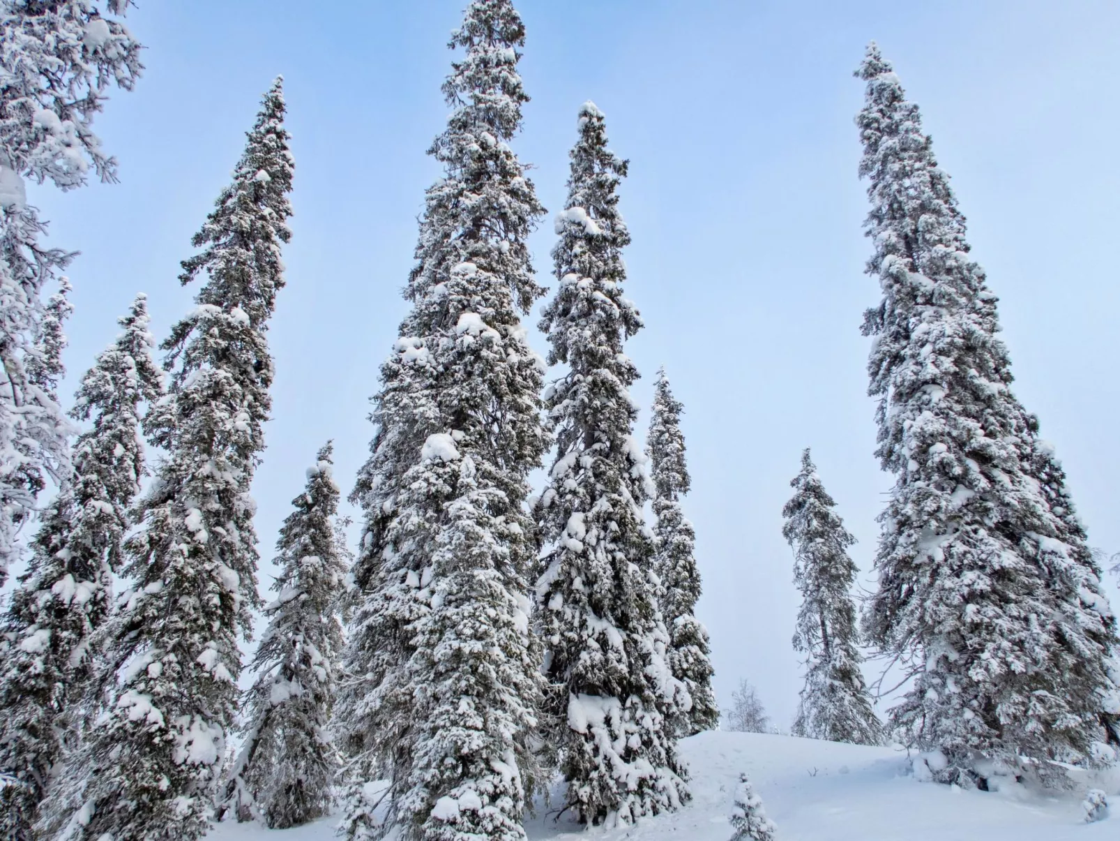 Villa jaloranta a-Dedans