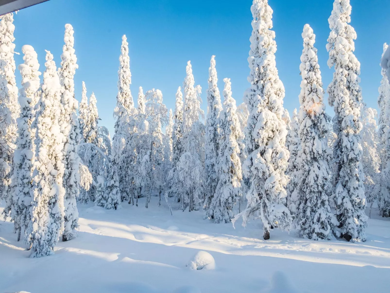Vuosselinhovi c-Drinnen