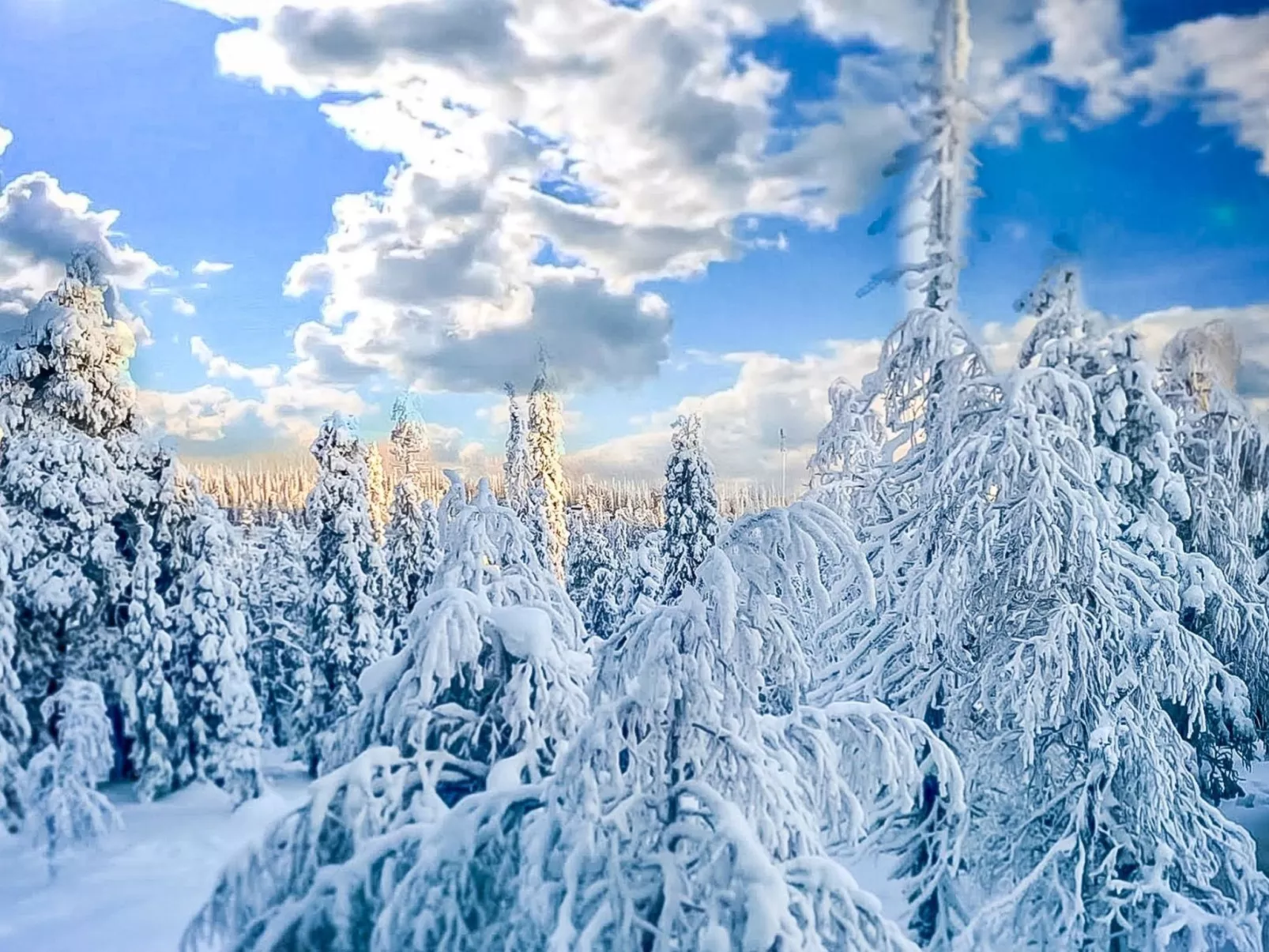 Villa alte ruka-Dedans