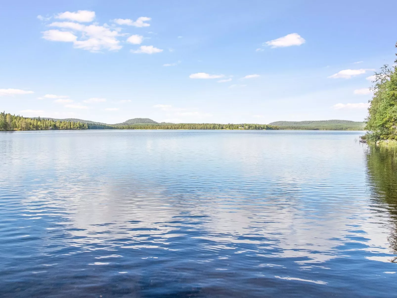 Peukaloinen b1-Dedans