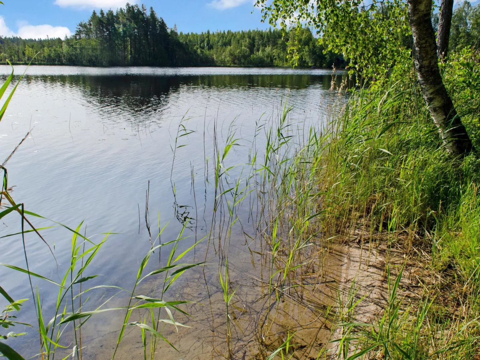 Blue lake villa-Dedans