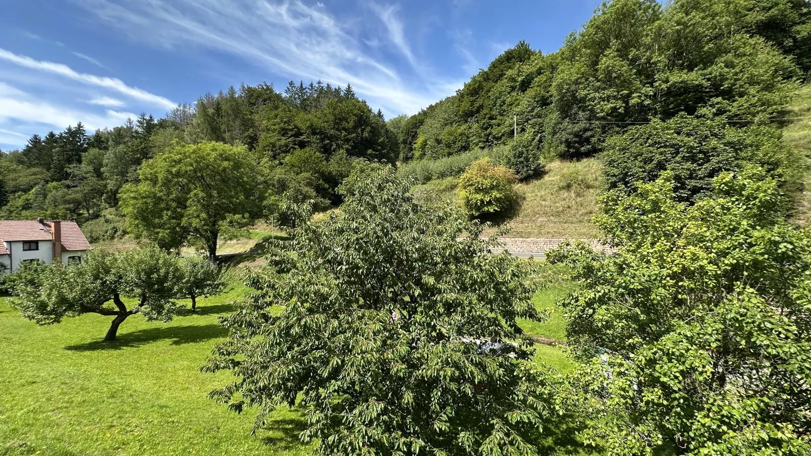 Alina-Gardens in summer