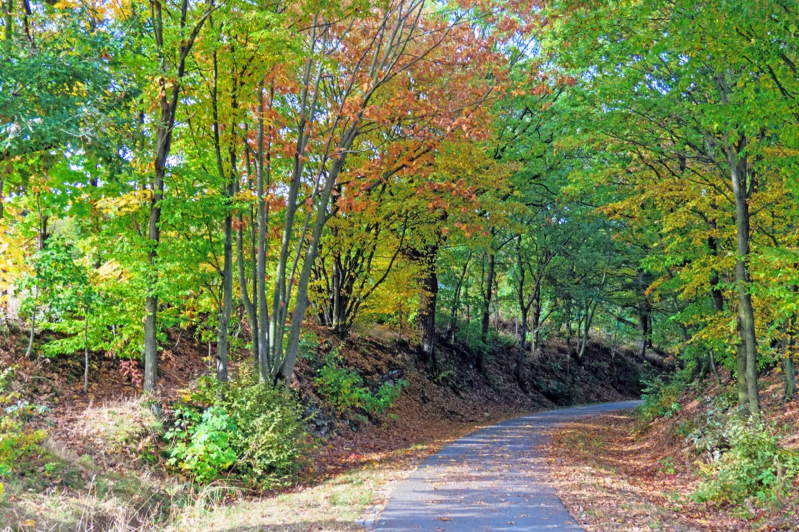 Ferienwohnung Freital - Dresden-Gebiete Sommer 5 km