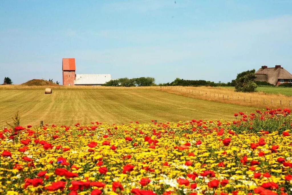 283745-Nicht zugeordnet