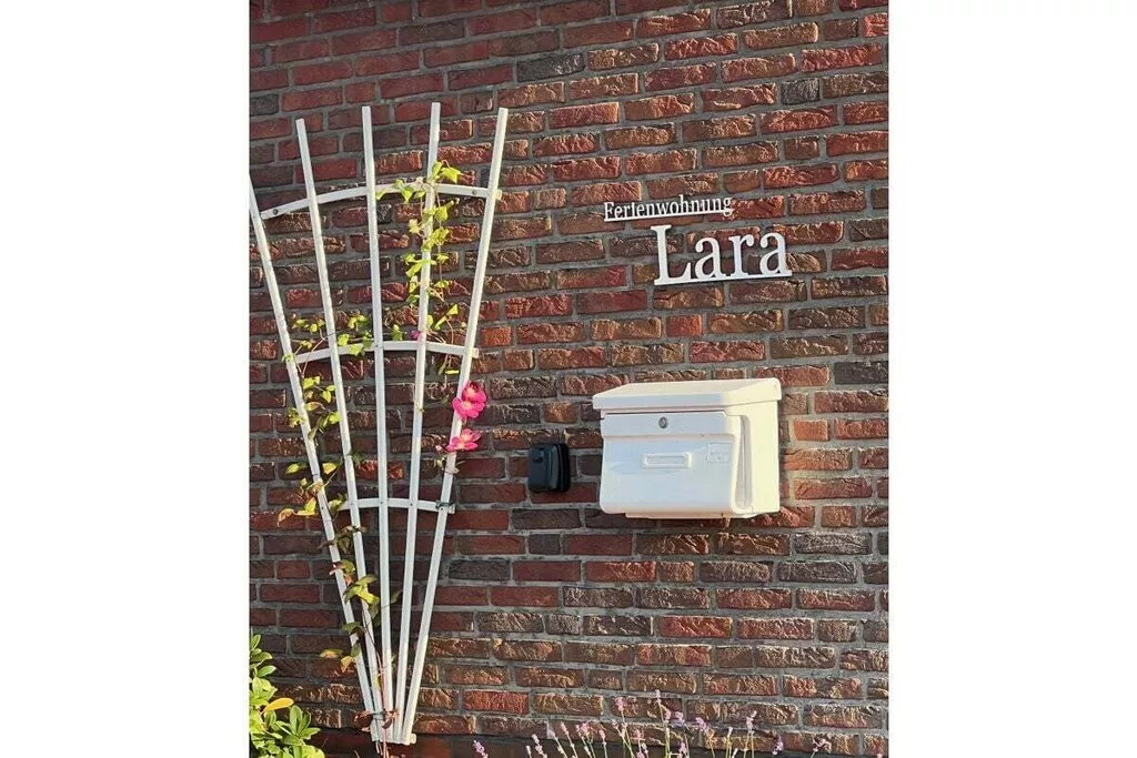 321564-Nicht zugeordnet