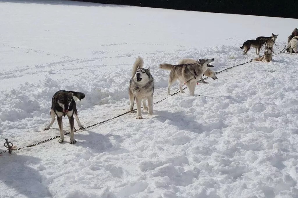 378160-Nicht zugeordnet