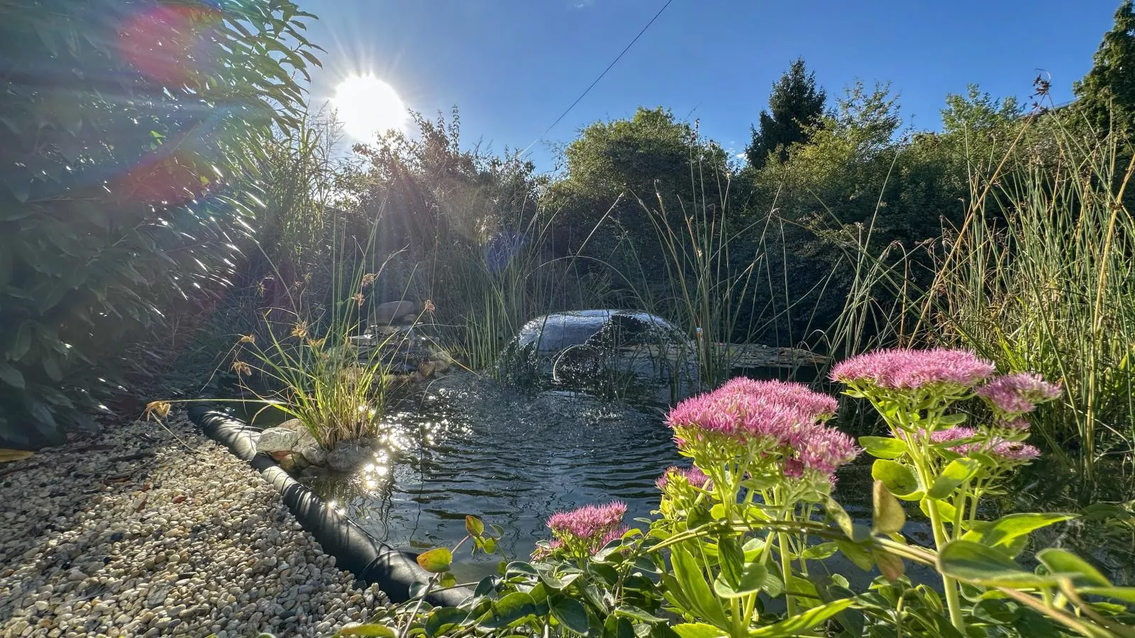 Vogel-Jardins en été
