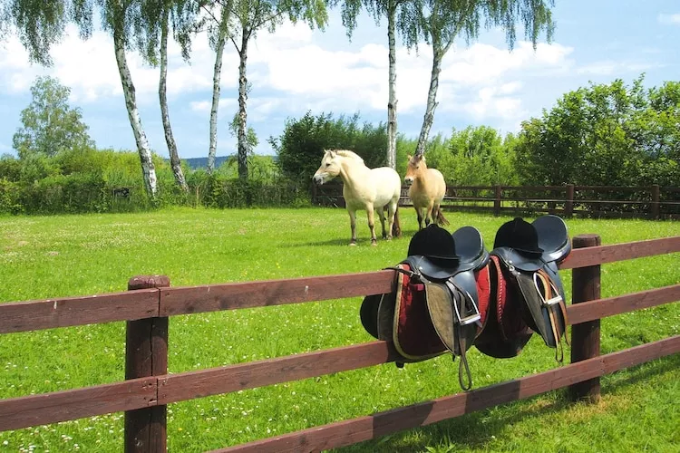 Ferienhaus in Plau am See 3SZ-Installations du parc