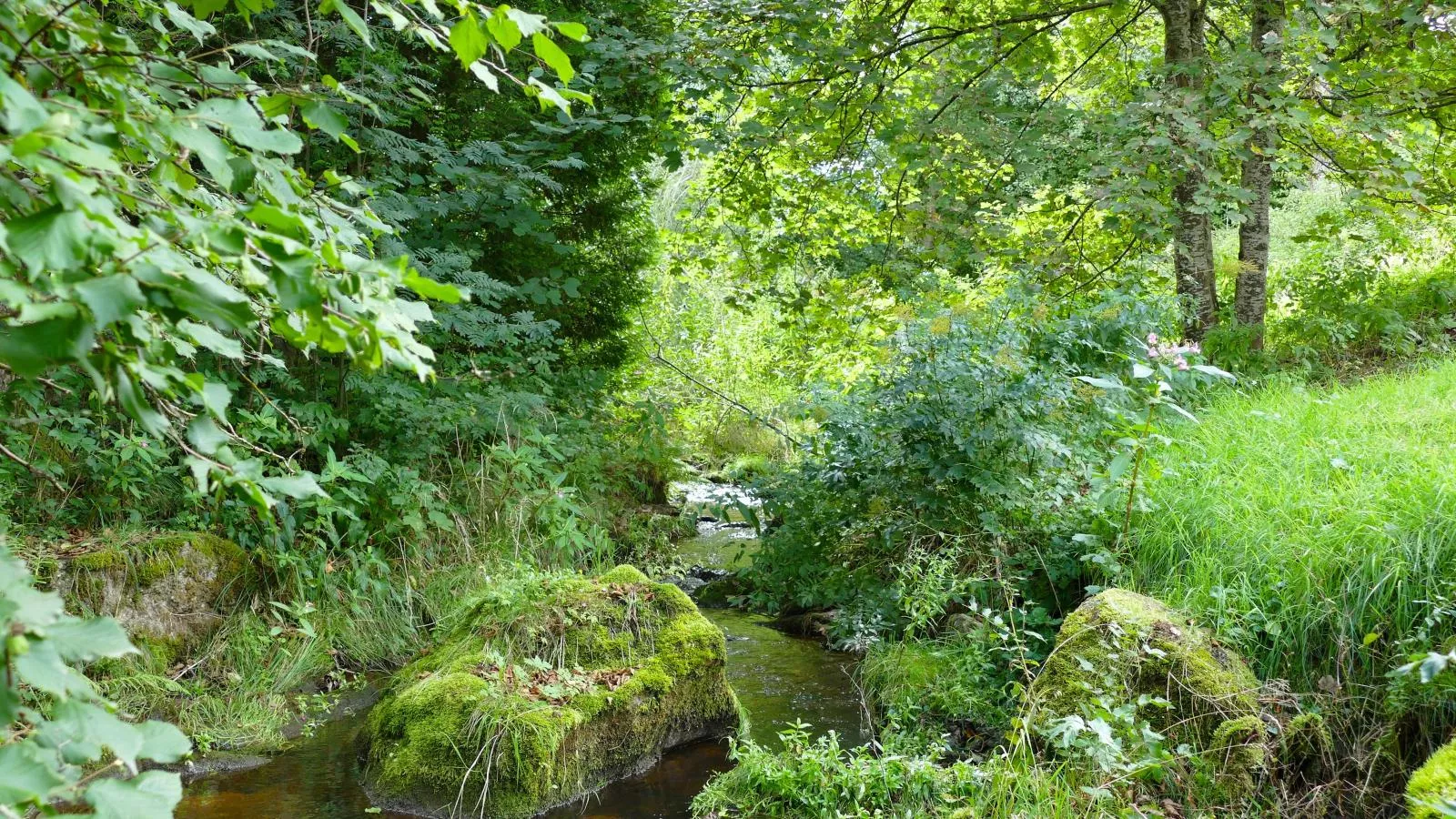 Alte Muehle-Vue d'été