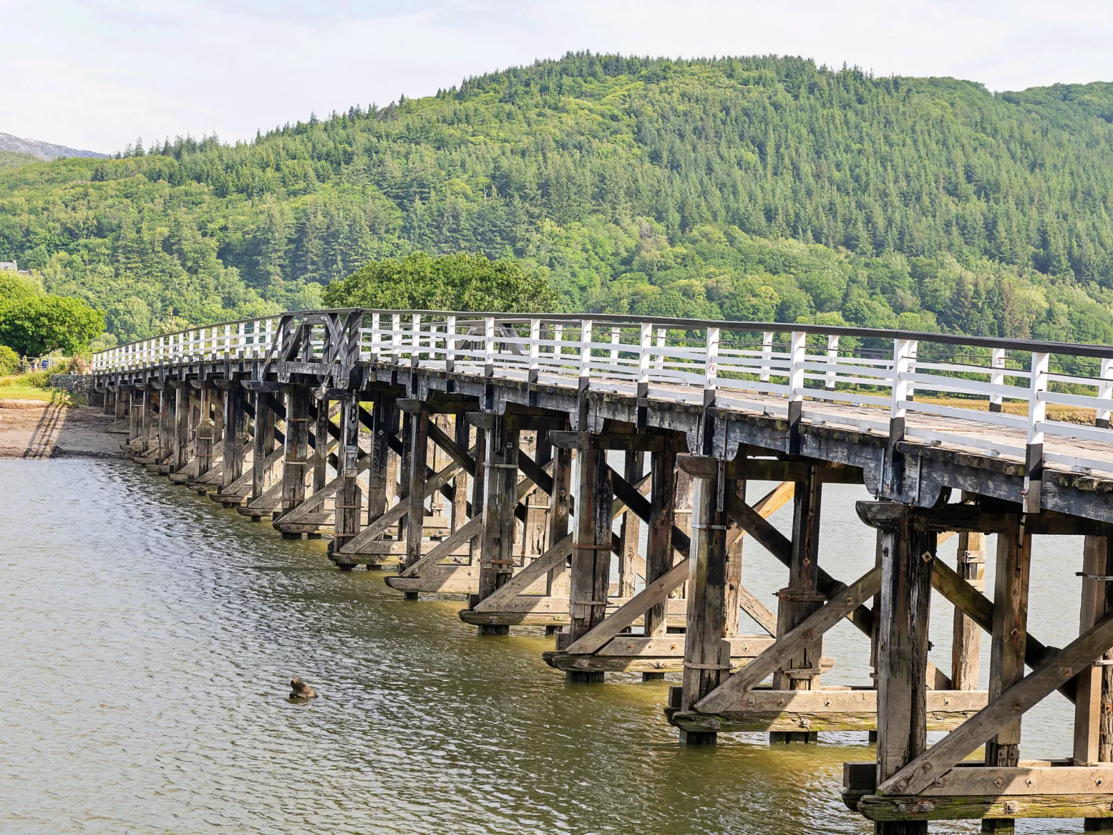 Toll Bridge Cottage-Dehors