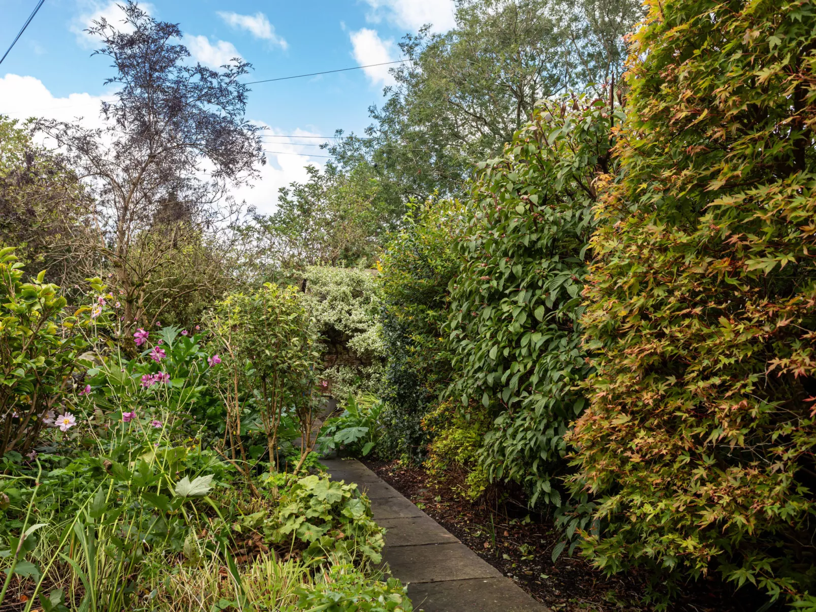 Garden Cottage-Dehors