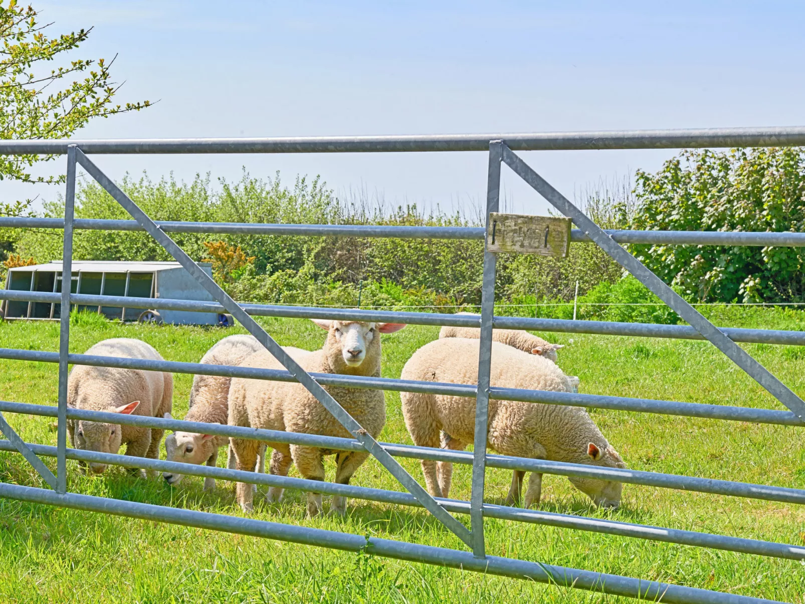 Hawthorn Barn-Dedans