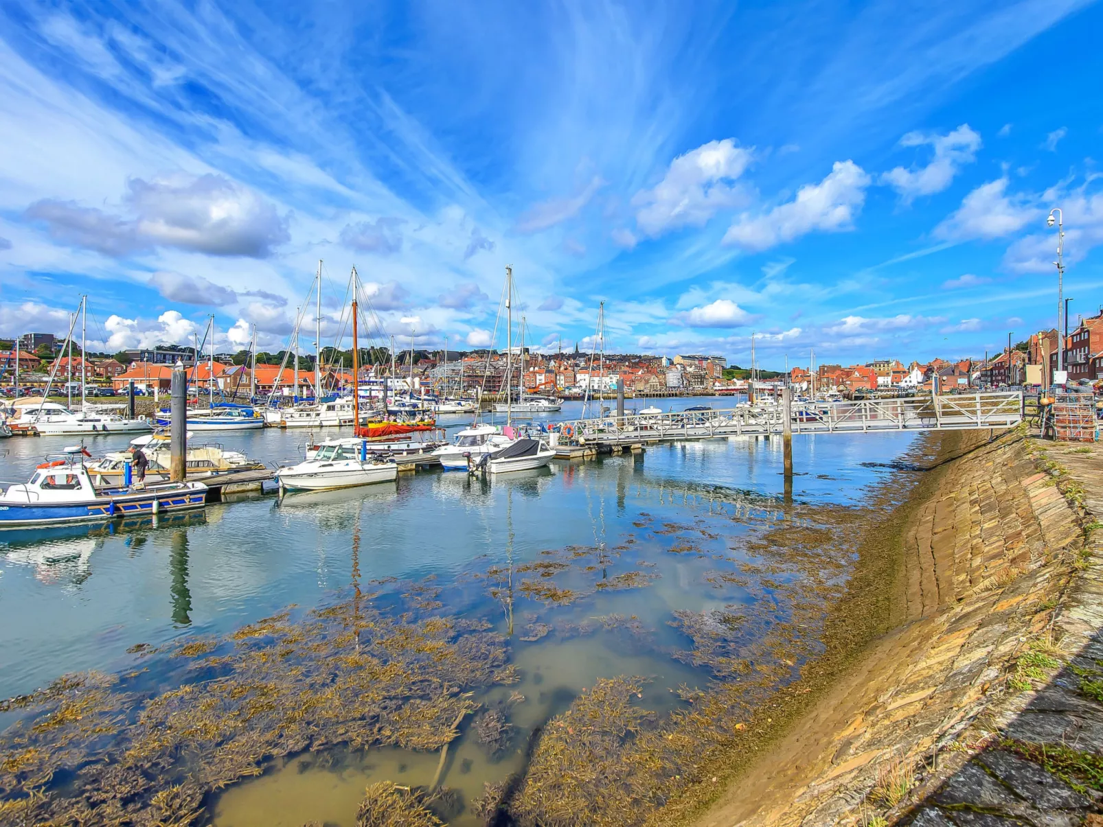 Ukulele Cottage-Drinnen